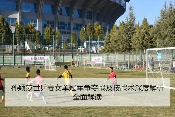 孙颖莎世乒赛女单冠军争夺战及技战术深度解析全面解读